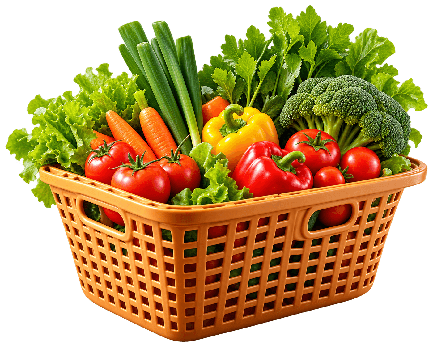 Grocery